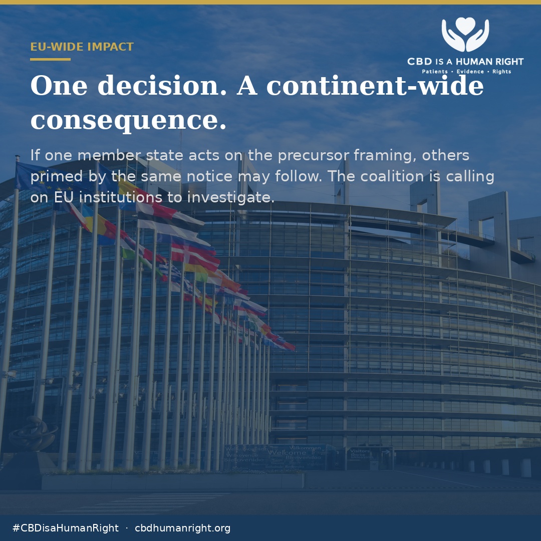 One decision. A continent-wide consequence