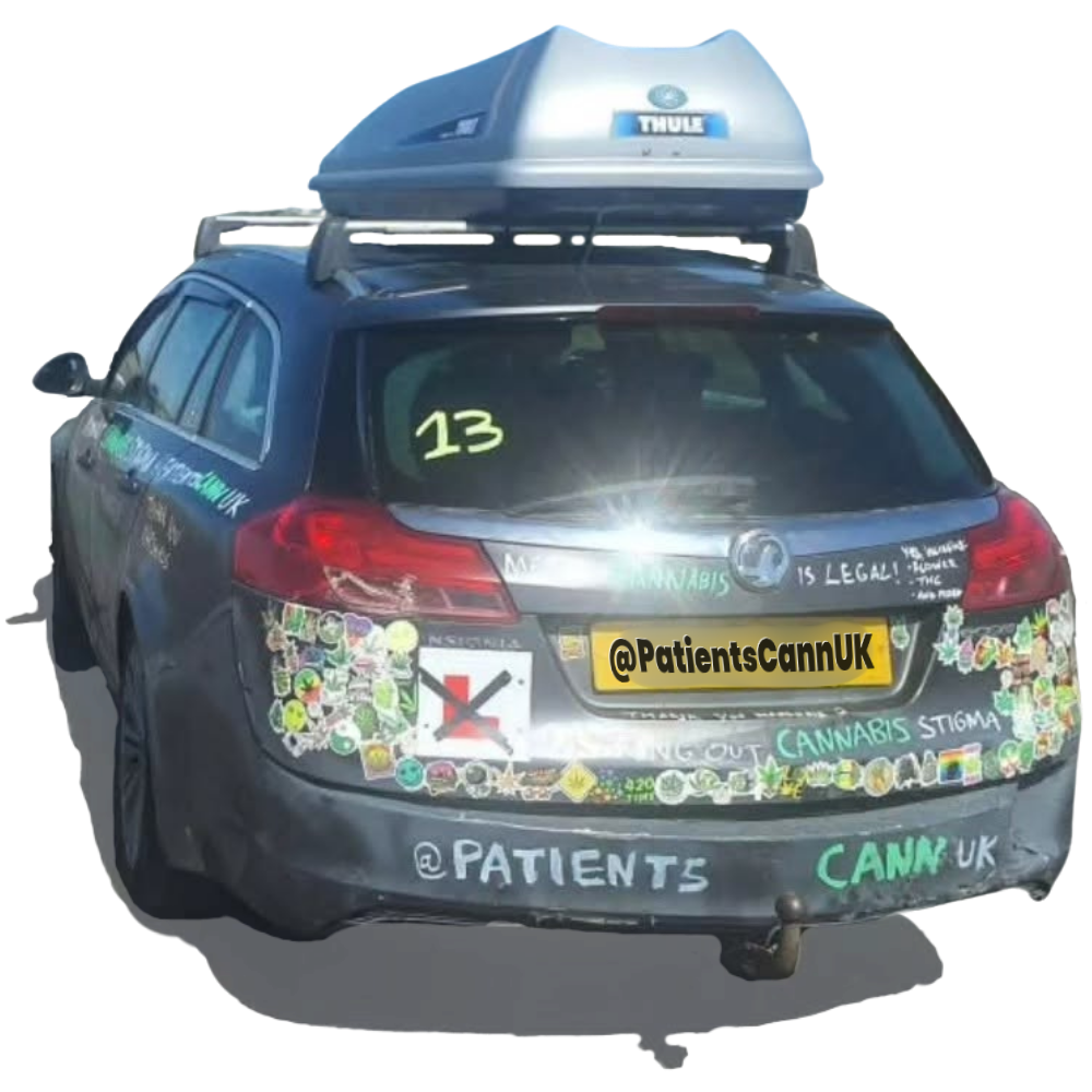 Sal Aziz on the race track in a car liveried for PatientsCann UK Racing, sage green with cannabinoid molecule and botanical detailing and the PatientsCann UK wordmark across the side.