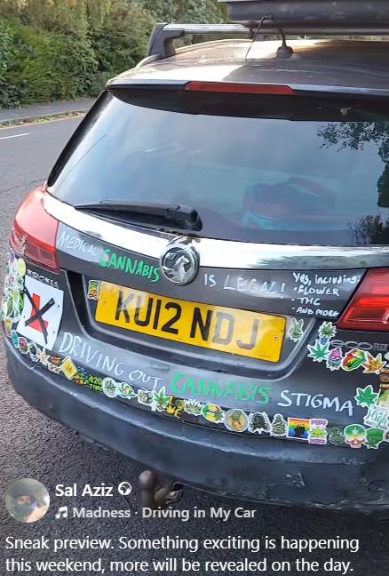 The rear of the Vauxhall Insignia estate with a homemade cannabis-themed livery and a roof box