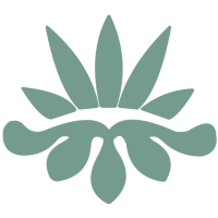cropped-PCUK-Logo-V2_20250612_105922_0000.png
